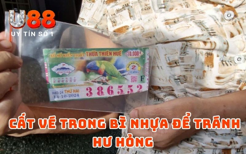 Nên cất vé trong bì nhựa để tránh hư hỏng