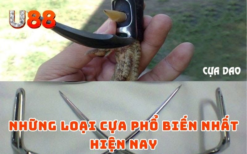 Những loại cựa phổ biến nhất hiện nay