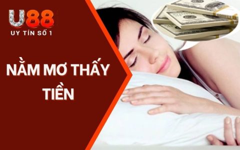 Nằm Mơ Thấy Tiền | Giải Nghĩa Chiêm Bao Chi Tiết Từ A - Z