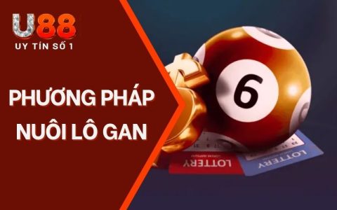 Phương Pháp Nuôi Lô Gan | Top 3+ Hình Thức Soi Cầu Hiệu Quả