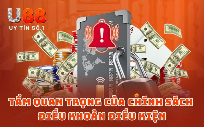 Tầm quan trọng của chính sách điều khoản điều kiện