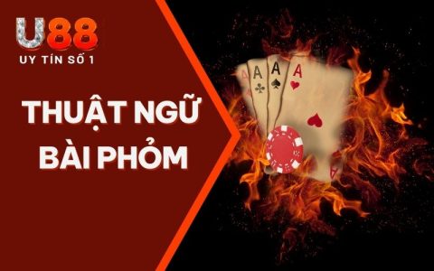 Thuật Ngữ Bài Phỏm: Tổng Hợp Từ A - Z Cho Người Chơi Mới