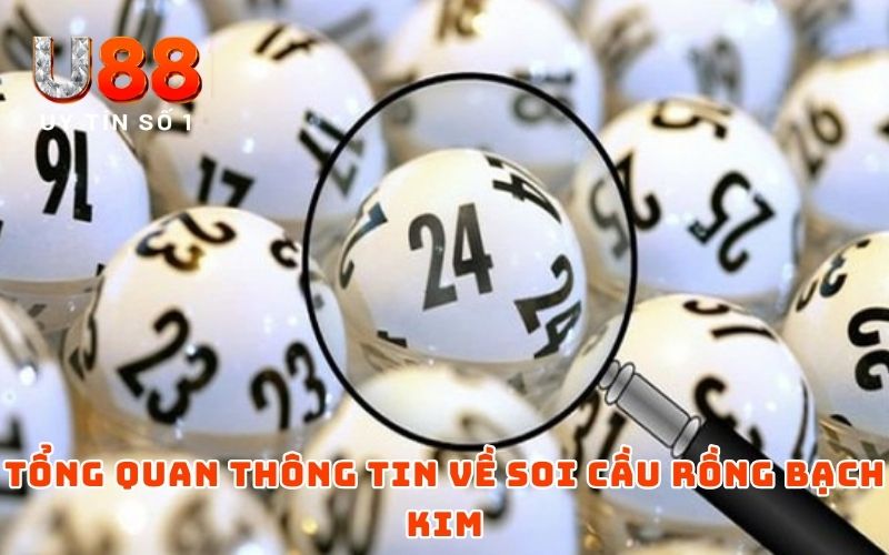 Tổng quan thông tin về soi cầu rồng bạch kim